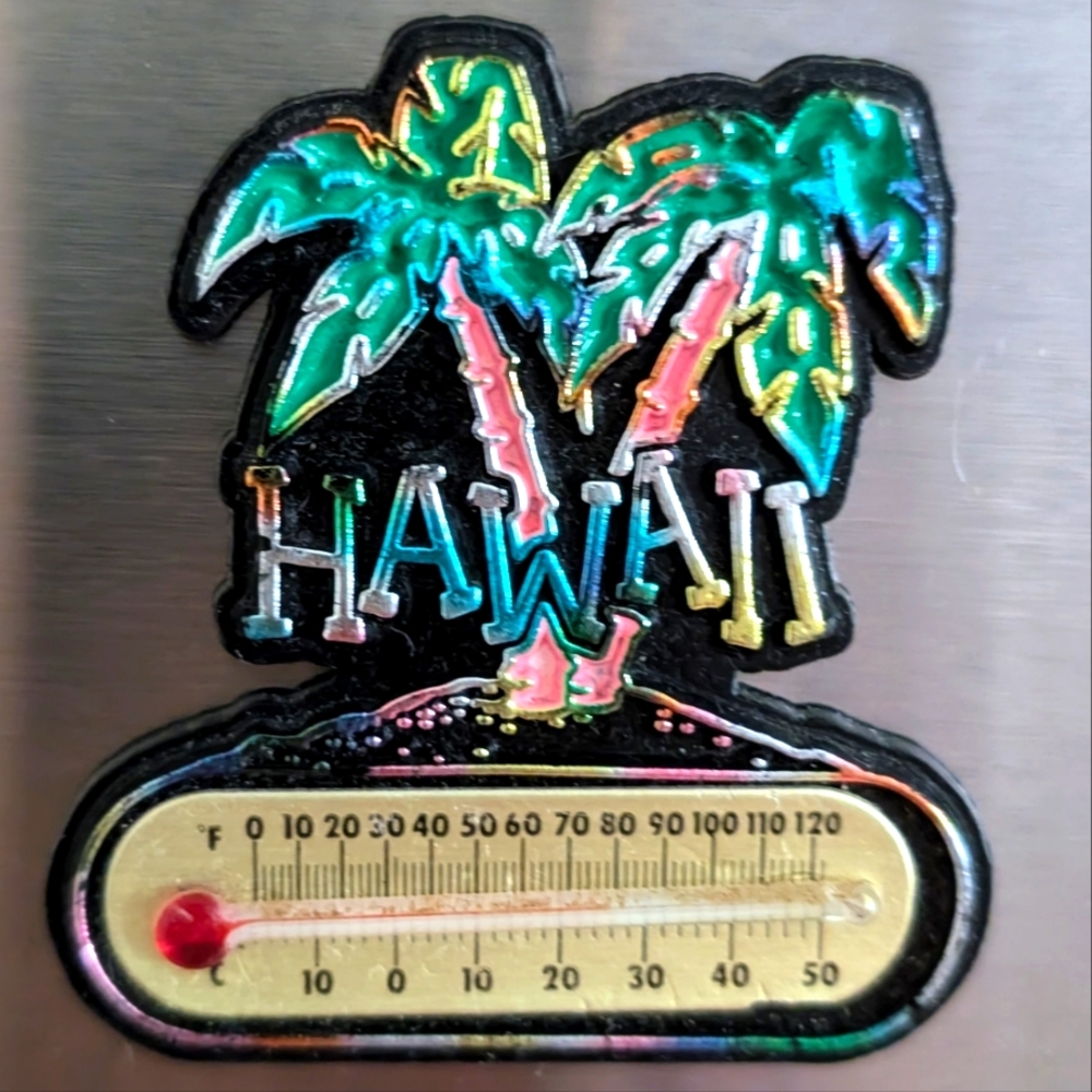 BEAUTIFUL 2 REFRIGERATOR MAGNETS